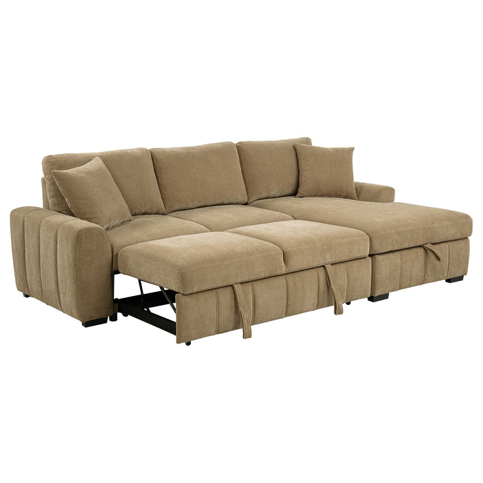 Pastrana Pull-Out Sleeper Sectional Sofa